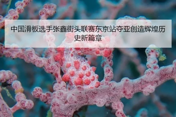 zhong-guo-hua-ban-xuan-shou-zhang-xin-jie-tou-lian-sai-dong-jing-zhan-duo-ya-chuang-zao-hui-huang-li-shi-xin-pian-zhang-2-344.jpg